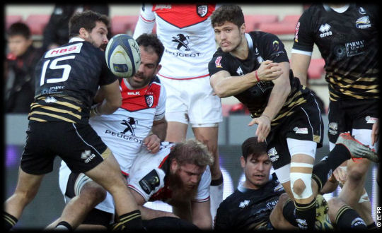 Toulouse Zebre Rugby